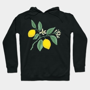 Lemon botanical print Hoodie